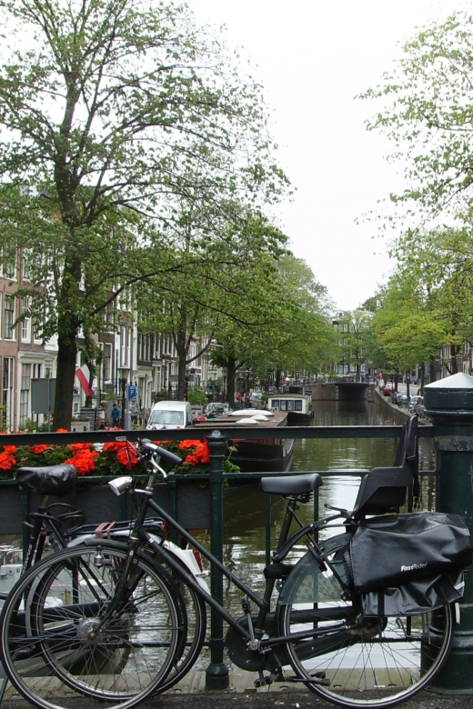 2.5-Hour Amsterdam Sightseeing Tour by Bike - Price and value: $341 per group, up to 4