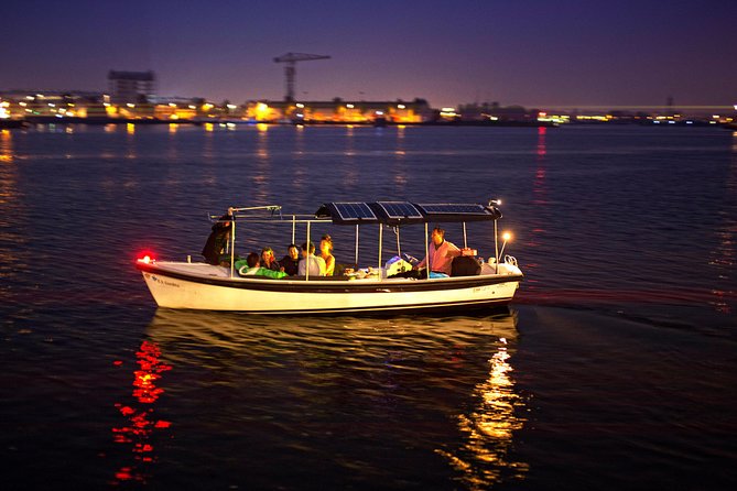 90-min Amsterdam Light Festival Tour - The canal ring route and the light sculpture path