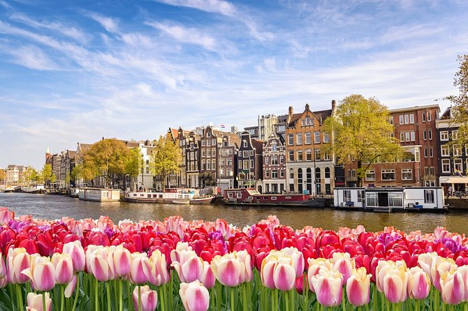 Airport Transfer: Schiphol Airport AMS to Amsterdam by Luxury Van - What It Feels Like on the Day: Clean, Calm, and Direct