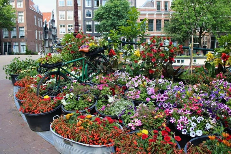Amsterdam: 1,5-hour Interactive Kids Tour in the City - Dam Square and the Royal Palace: quick orientation, big impact