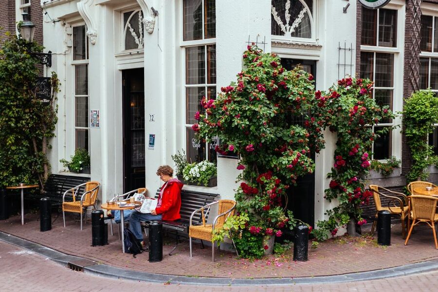 Amsterdam: 1.5-Hour Private Kick-Start Tour with a Local - What “Kick-Start” Looks Like After the Tour Ends