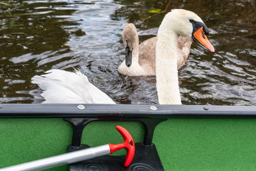 Amsterdam: 2-Hour Guided Canoe Trip - Weather Matters More Than You Think