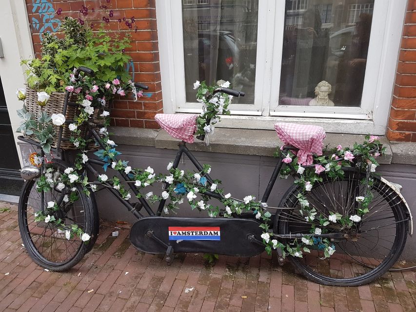 Amsterdam: 3-hour Countryside Bike Tour - Price and Value: Is $188 per Person Worth It?