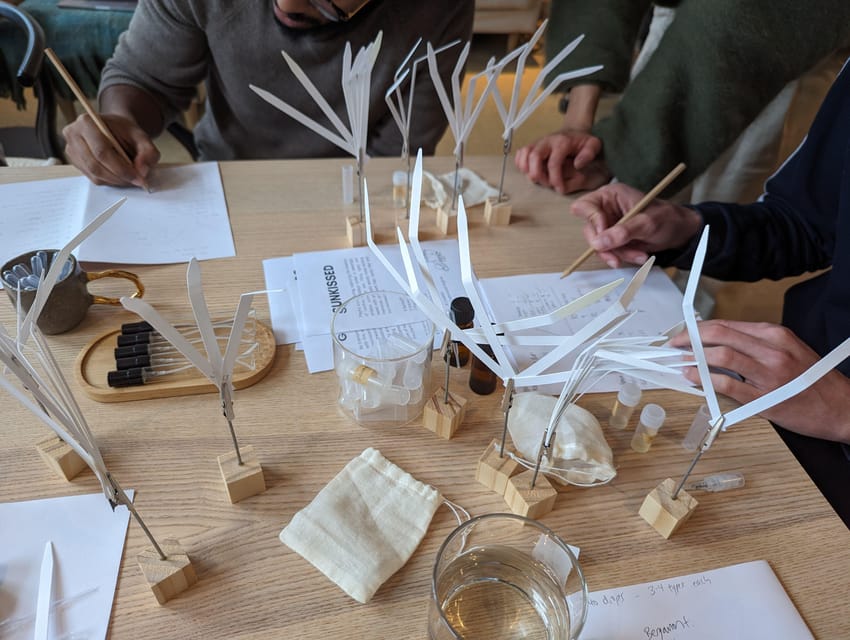 Amsterdam: 3-Hour Mindful Perfume-Making Workshop - Price and value: is €165 worth it?