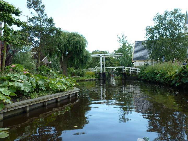 Amsterdam 5-Hour Guided Canoe Trip in the Wetlands - Canoe through reed-filled wetlands: the part you will remember