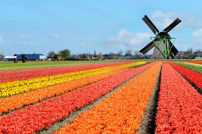 Amsterdam Airport (AMS) Transfer to Amsterdam/Rotterdam/Keukenhof - Timing, communication, and the one thing you should not ignore