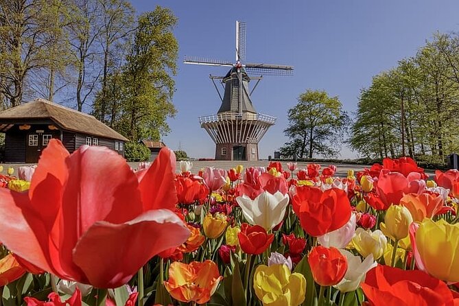 Amsterdam Airport (AMS) Transfer to Amsterdam/Rotterdam/Keukenhof - Who should book this transfer?