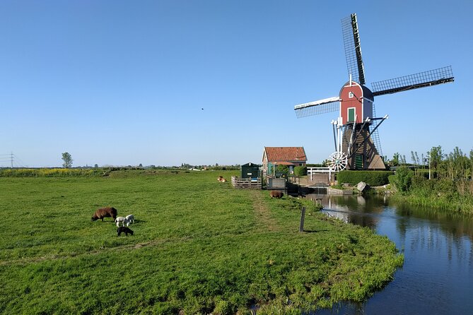 Amsterdam and Countryside Private Full-Day Tour by luxury car - Marken: walk the old streets to the port