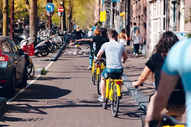Amsterdam Anne Frank and Jewish History E Bike Tour - Dokwerker and the February Strike story