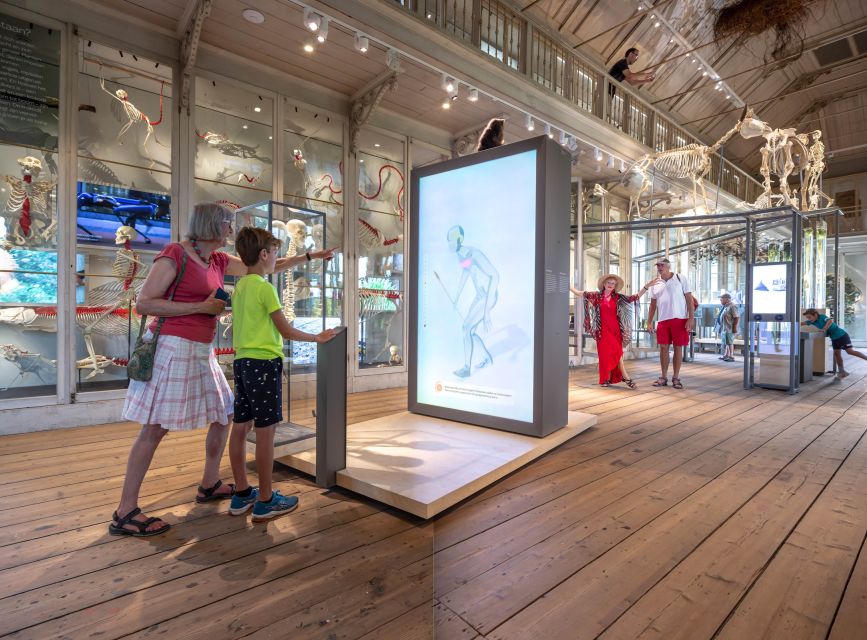 Amsterdam: ARTIS-Groote Museum Entry Ticket - Price and Value: Is $21 a Good Deal?