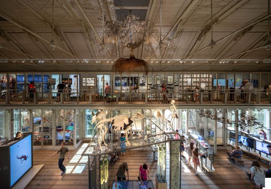 Amsterdam: ARTIS-Groote Museum Entry Ticket - The Big Idea Here: You Are Part of the Ecosystem