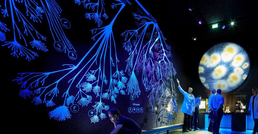 Amsterdam: ARTIS-Micropia Microbe Museum Entry Ticket - Pairing options in the ARTIS zone: plan a full day or keep it simple