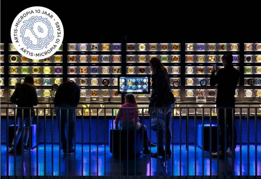 Amsterdam: Artis Royal Zoo & ARTIS-Micropia Combo Ticket - Key things I’d circle before you go