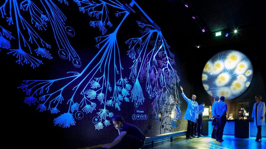 Amsterdam: Artis Royal Zoo & ARTIS-Micropia Combo Ticket - Price and value: what you’re really paying for