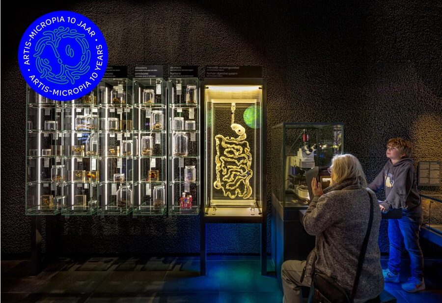 Amsterdam: Artis Royal Zoo & ARTIS-Micropia Combo Ticket - Gardens, insects, planetarium, and the stuff people forget to plan for