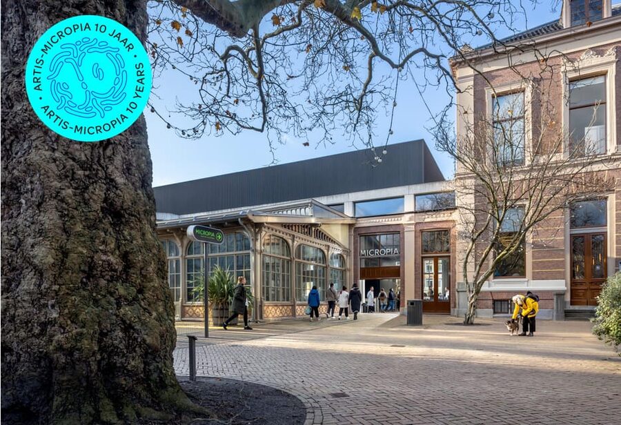 Amsterdam: Artis Royal Zoo & ARTIS-Micropia Combo Ticket - ARTIS-Micropia: the microbe museum that makes biology feel personal
