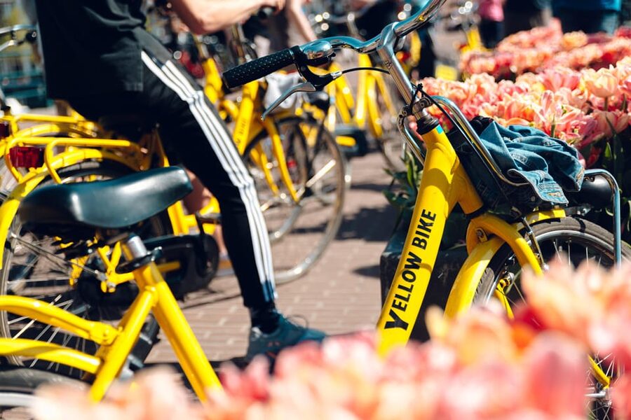 Amsterdam Bike Rental: Central Station & City Center - A 1-Day Plan You Can Actually Follow: City First, Then Windmills