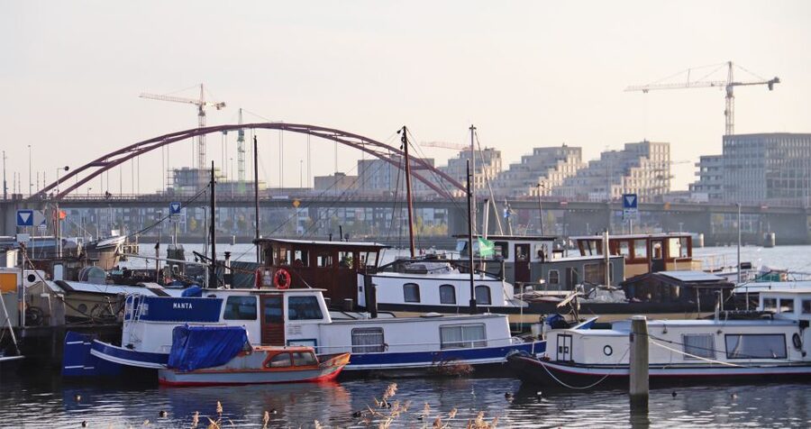 Amsterdam: Bike Tour (Noord) in German or English - How the guides shape the whole experience