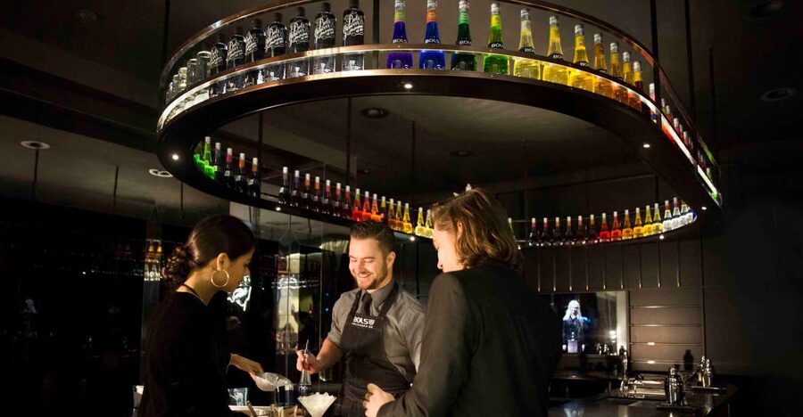 Amsterdam: Bols Cocktail Experience and Cocktail Workshop - Who should book this Bols Cocktail Experience
