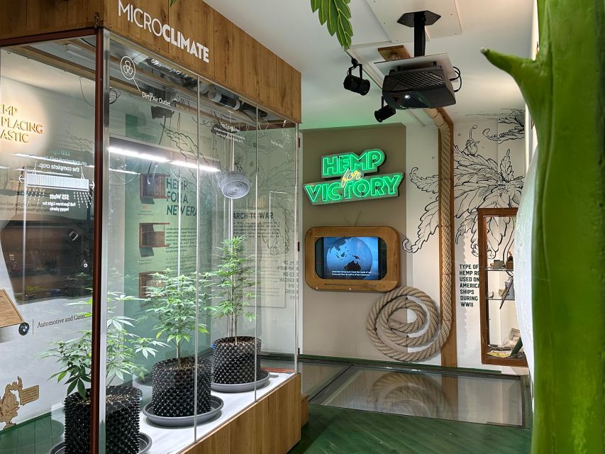 Amsterdam: Cannabis Museum Entry Ticket - Key highlights you should know before you go