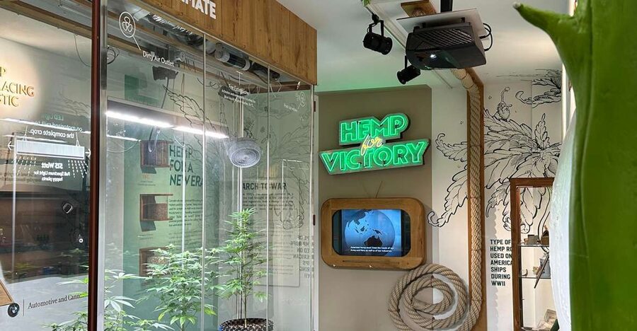 Amsterdam: Cannabis Museum Entry Ticket - A 45-minute cannabis education in the heart of Amsterdam