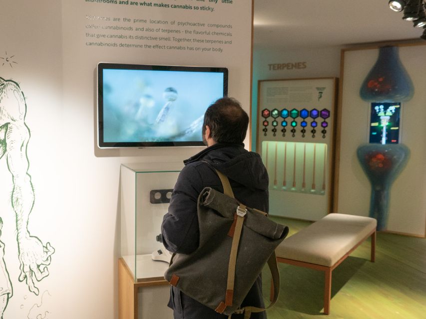 Amsterdam: Cannabis Museum Entry Ticket - From Central Asia origins to Amsterdam coffee-shop culture