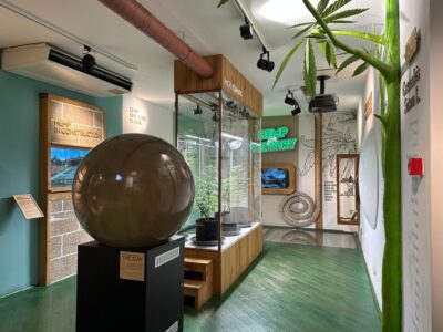 Cannabis Museum Entry Ticket