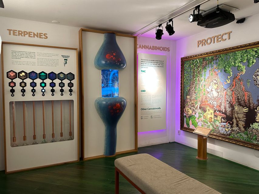 Amsterdam: Cannabis Museum Entry Ticket - Myths and propaganda: separating the story from the noise