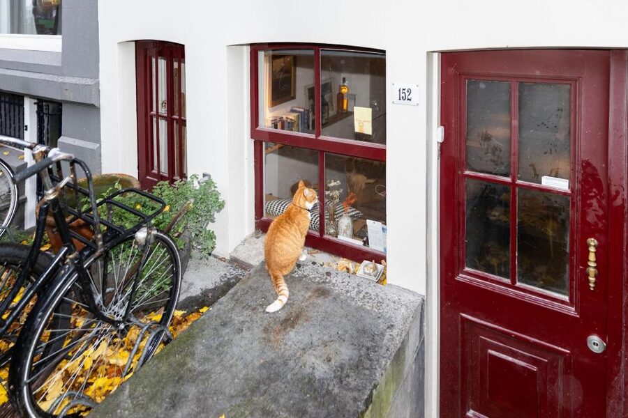 Amsterdam Central Walking Tour - Start at Nieuwezijds Kolk, then get your bearings