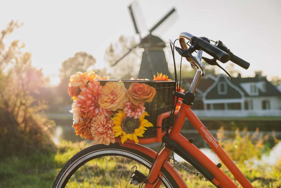Amsterdam: Cheese Tasting, Windmill & Countryside Bike Tour - De Gooyer windmill: exterior views and photo timing