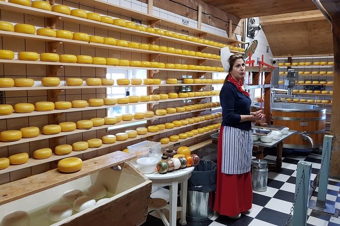 Amsterdam City & Countryside Tour: The Best of both Worlds - Pickup and ride comfort: the value of not fighting Amsterdam logistics
