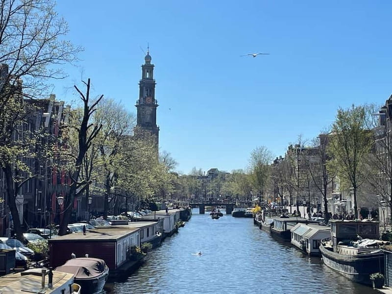 Amsterdam: City Tour in German - Religion, colonial past, and the monarchy, explained without a headache