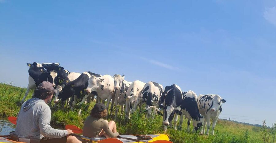 Amsterdam: Countryside Bike and Kayak Guided Tour - Two things I like a lot