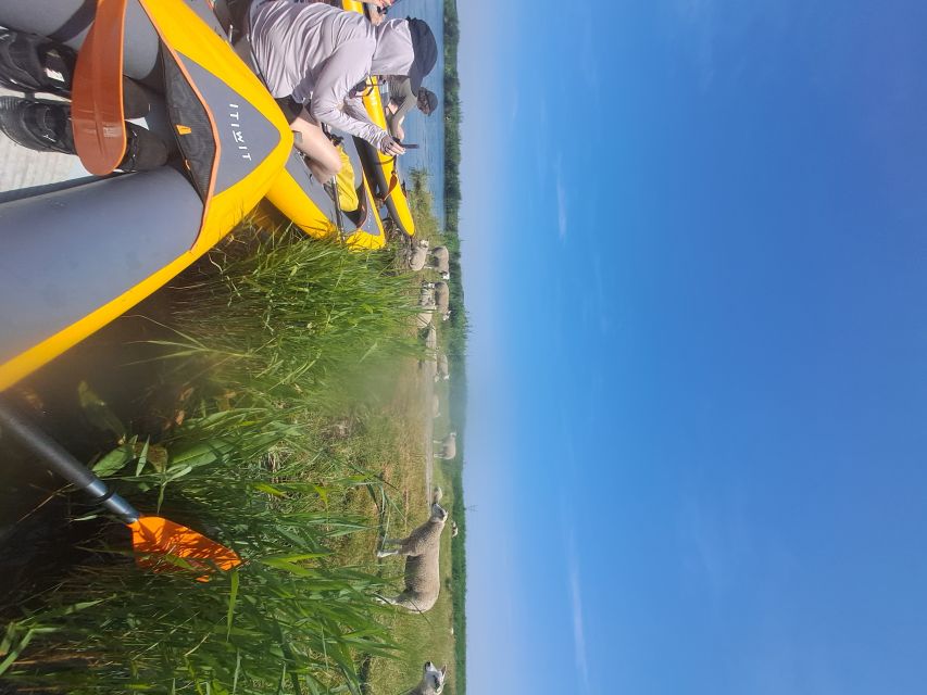 Amsterdam: Countryside Bike and Kayak Guided Tour - Price and value: why $84 can make sense for a bike plus kayak day