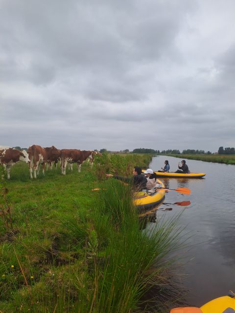 Amsterdam: Countryside Bike and Kayak Guided Tour - One drawback to consider