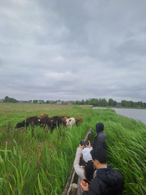 Amsterdam: Countryside Bike and Kayak Guided Tour - From A’DAM Lookout to the Dutch countryside in one half-day
