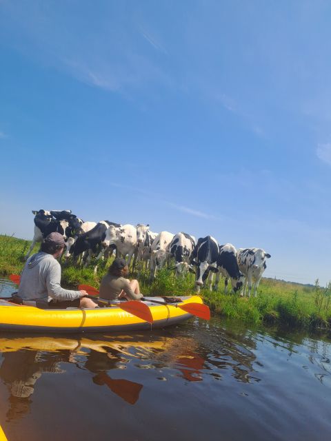 Amsterdam: Countryside Bike and Kayak Guided Tour - Cycling North Holland: comfortable country roads with a guide’s pace