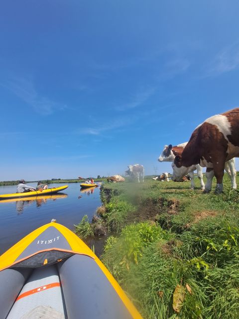 Amsterdam: Countryside Bike and Kayak Guided Tour - The second bike stretch back toward Amsterdam-Noord