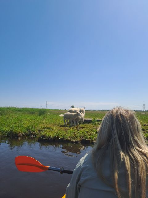 Amsterdam: Countryside Bike and Kayak Guided Tour - Key highlights to know before you go