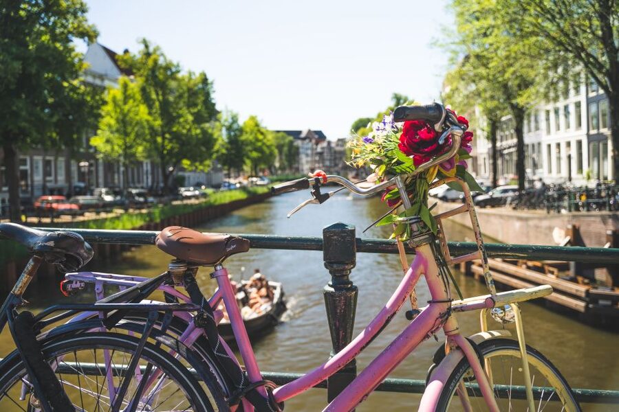 Amsterdam: Countryside Bike Tour - Who this bike tour fits best (and who should skip it)