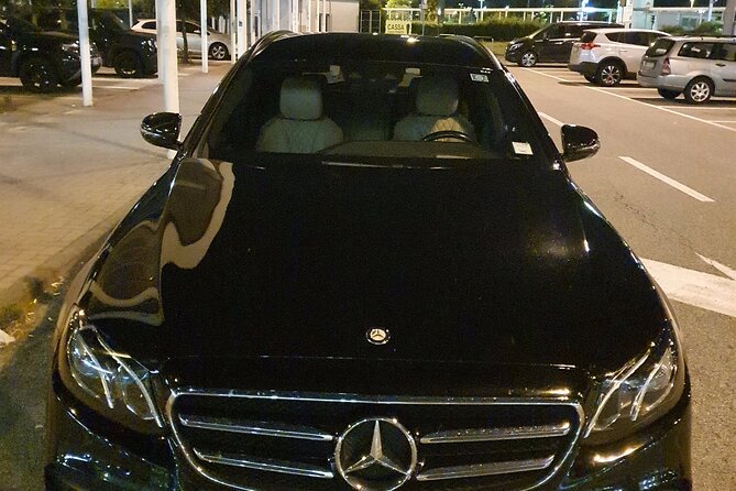 Amsterdam Cruise Port to Amsterdam hotels - Arrival Private Transfer - Practical Tips You Can Use the Moment You Book