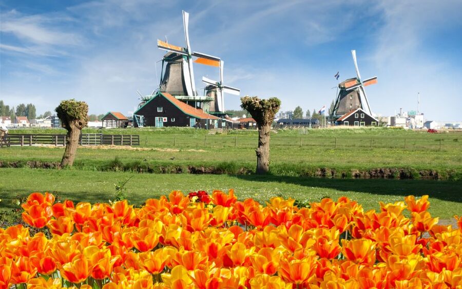 Amsterdam: Day Tour Keukenhof and Zaanse Schans Windmills - Keukenhof in spring: 4 hours plus unlimited wandering with flexible return buses