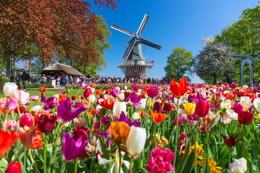 Amsterdam: Day Tour Keukenhof and Zaanse Schans Windmills - Food, coffee, and the pancake discount you might use