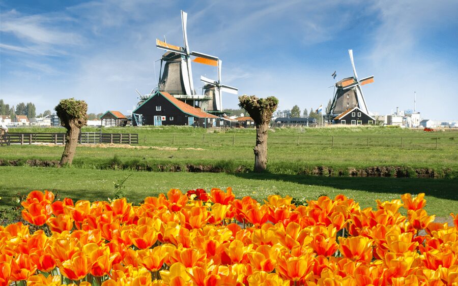Amsterdam: Day Tour Keukenhof and Zaanse Schans Windmills - Getting from central Amsterdam to This is Holland, then out to the countryside