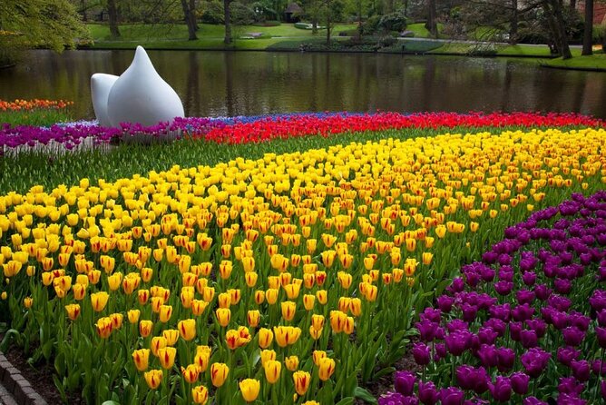 Amsterdam: Day trip to Tulip Farm, Keukenhof + Windmill Cruise - Price and Time Value: Is $102.23 a Good Deal?