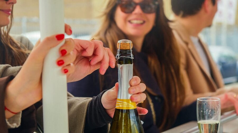 Amsterdam: Dutch Prosecco Party Bike - Sloterdijk on Wheels: What You’ll Actually See
