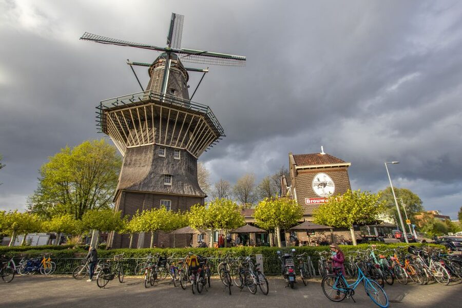 Amsterdam: Express Walk with a Local in 90 minutes - Anne Frank House area: meaning and direction without overload