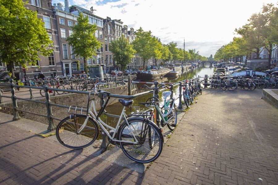 Amsterdam: Express Walk with a Local in 90 minutes - Price and value: why $128 for 90 minutes can make sense