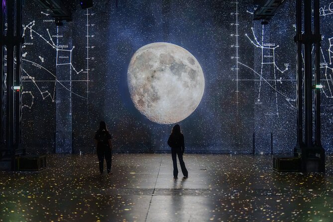 Amsterdam: Fabrique des Lumières entrance ticket - Entering the Show Space: Tall Walls, Sound, and Projection Scale