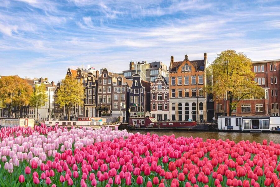 Amsterdam Family Friendly Historical Walking Tour - Languages, Private Format, and the Licensed Guide Advantage